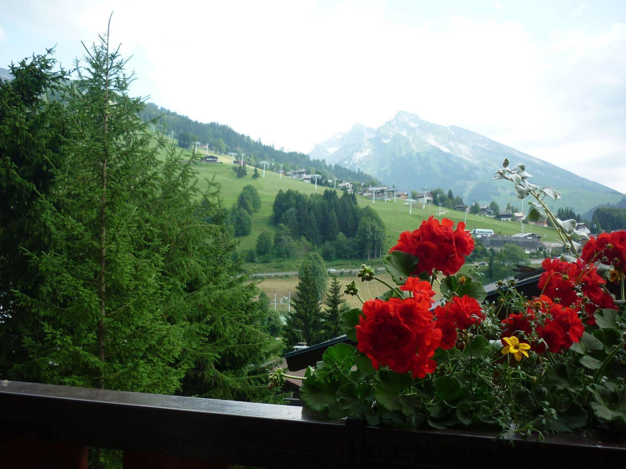 Location D'Appartements - La Residence La Clusaz Exterior foto